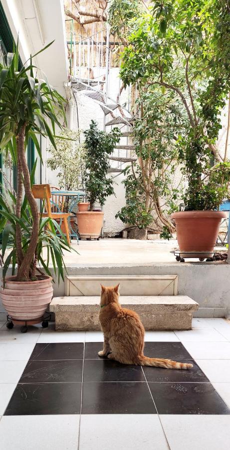 فيلا Athenian Yard Near Acropolis المظهر الخارجي الصورة